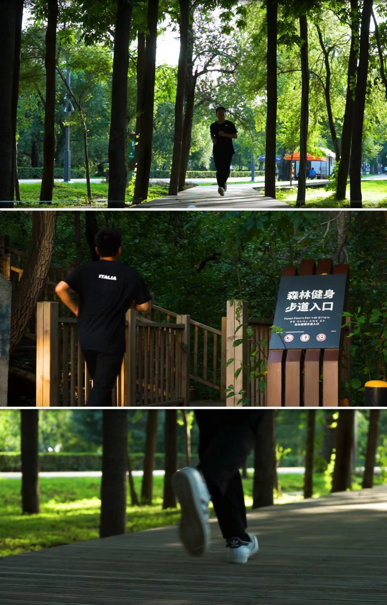 森林公园跑步男生晨跑公园绿树绿树阳光