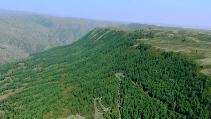 航拍山上植树对比 绿山 脱贫攻坚 农村