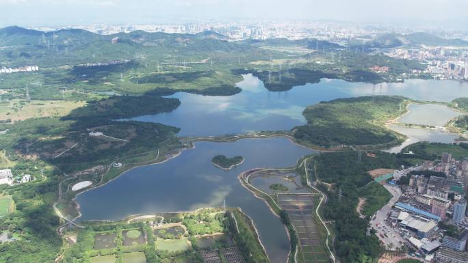 【正版素材】深圳宝安石岩湖，石岩水库