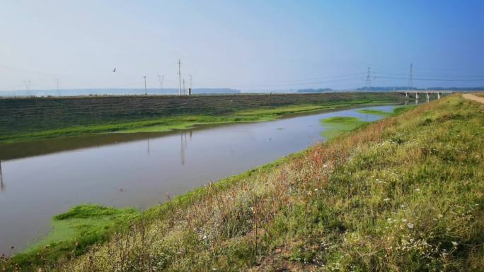 4K罗文河河滩湿地河滩湿地 生态水塘