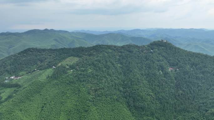 航拍夏季避暑圣地莫干山民宿