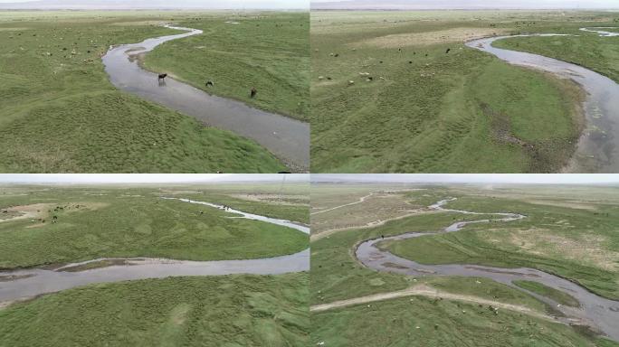 新疆巴里坤：巴里坤草原上的曲流
