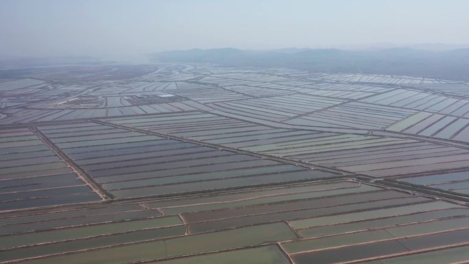 虾池 农人 三农 耕种 虾 田