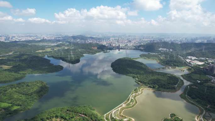 【正版素材】深圳宝安石岩湖湿地公园