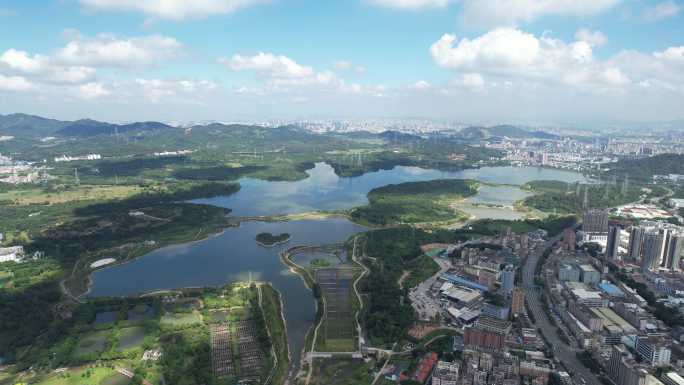 【正版素材】深圳宝安石岩湖，石岩水库