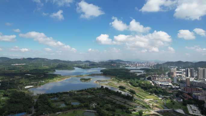 【正版素材】深圳宝安石岩湖，石岩水库