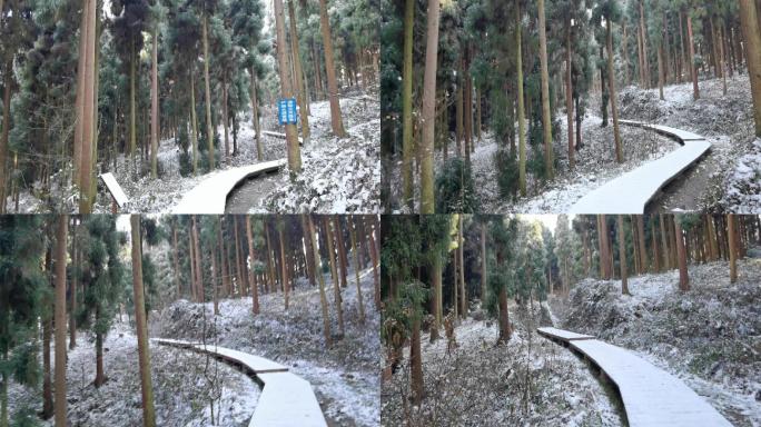 成都彭州龙门山熊猫森林公园雪景