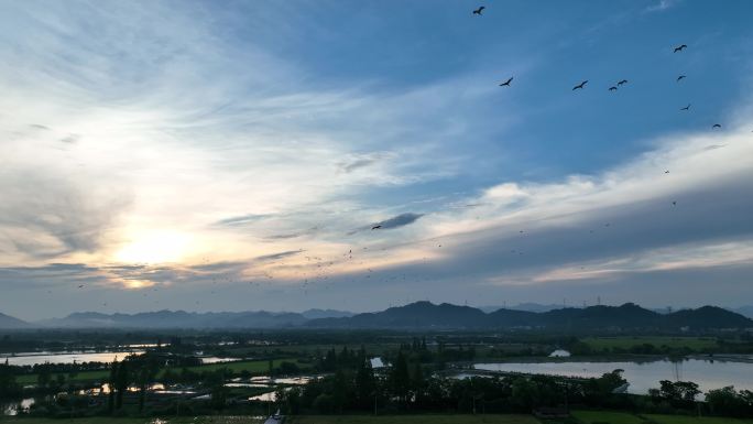 航拍江南浙江水墨山水田野农田白塔湖白鹭