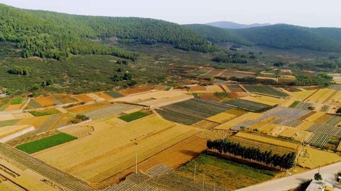 山东 枣庄 山亭 麦田 航拍