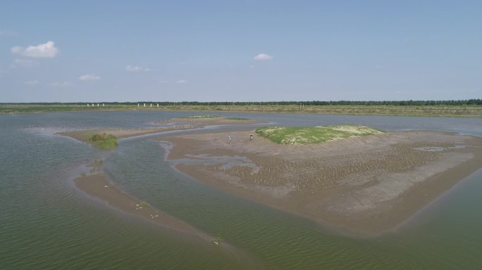 滩涂湿地风光