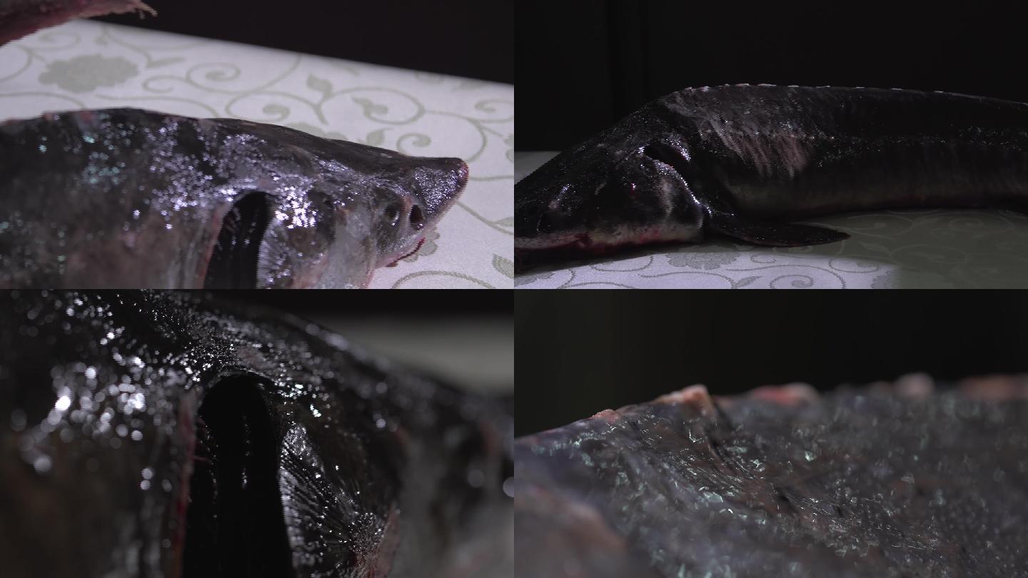 非物质文化遗产赫哲族特色习俗之鳇鱼