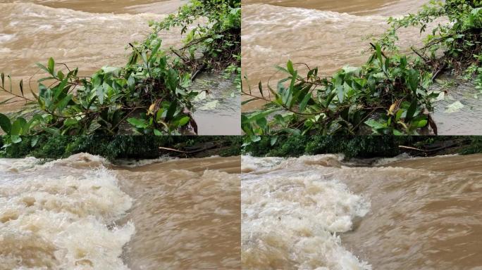 暴雨过后洪水滔天滔滔不绝 流走 洪水猛兽