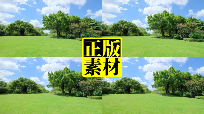 夏天蓝天白云阳光草地树林大草坪
