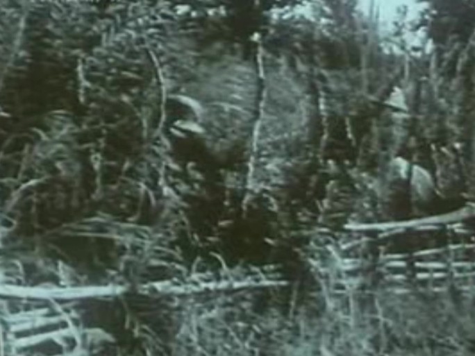 40年代海南岛解放影像资料3
