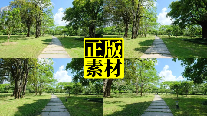 公园草坪石板路林荫小道林间小路观光步道