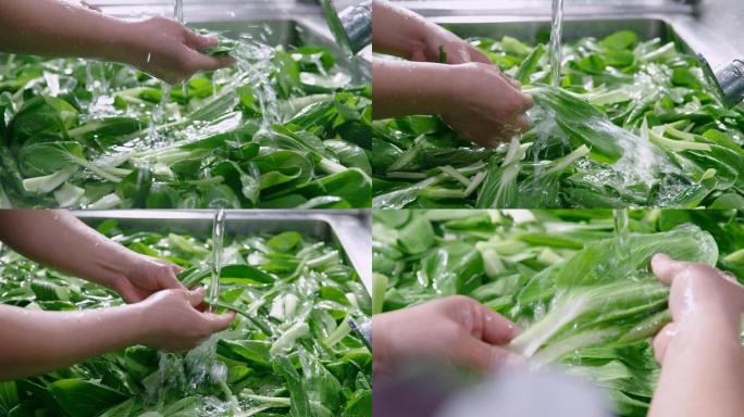 洗青菜做饭清洗蔬菜