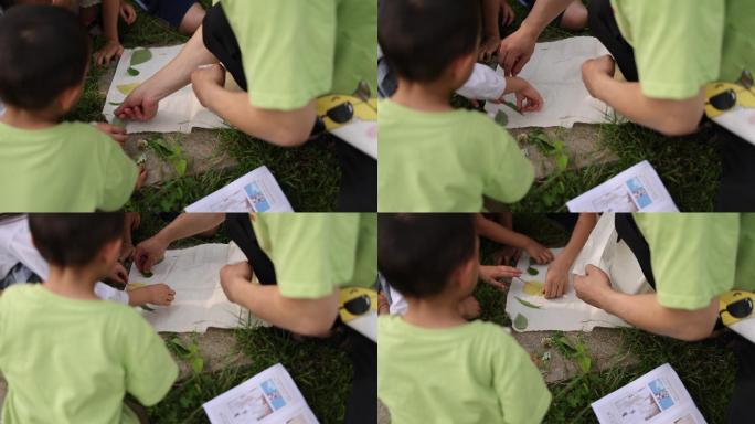 户外博物课花草儿童手工活动标本高清50帧