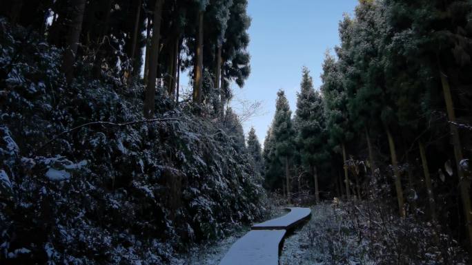 成都彭州龙门山熊猫森林公园雪景