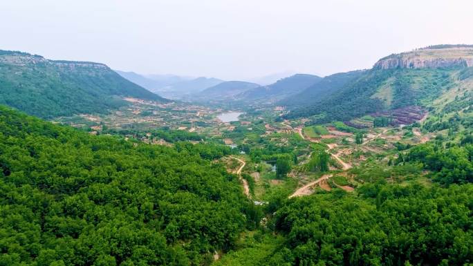 山东 枣庄 山亭 高山 树林 航拍