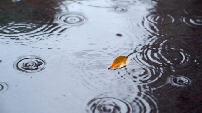 高清唯美下雨空镜头