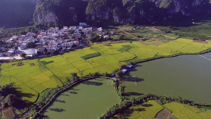 广西上林田园风光9