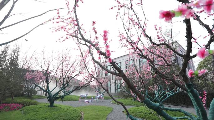 小区装饰 绿化 楼盘 桃花 园林