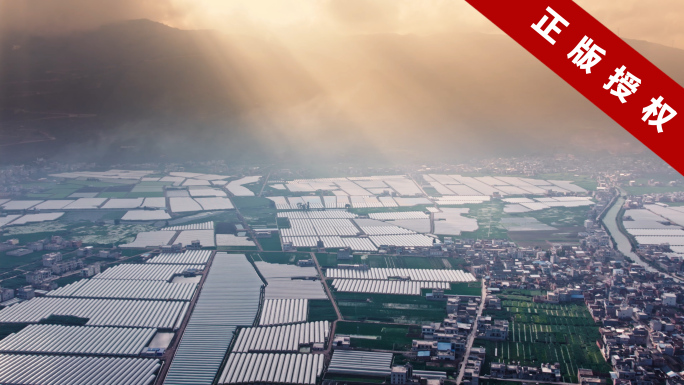 4k航拍云南蔬菜大棚种植基地 14