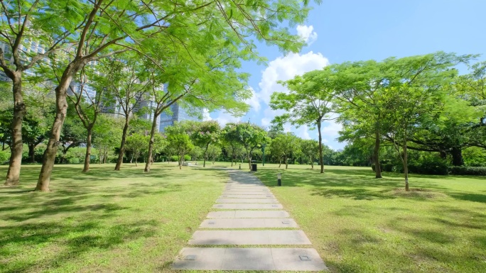 植物园公园林荫大道林间小路石板路观光步道