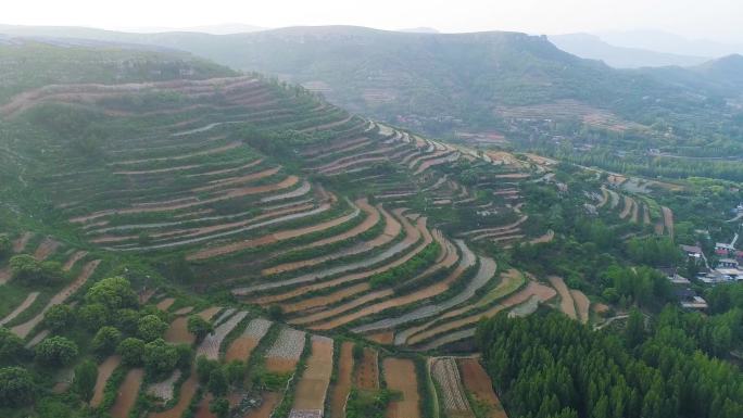 山东 枣庄 山亭 高山 梯田 航拍