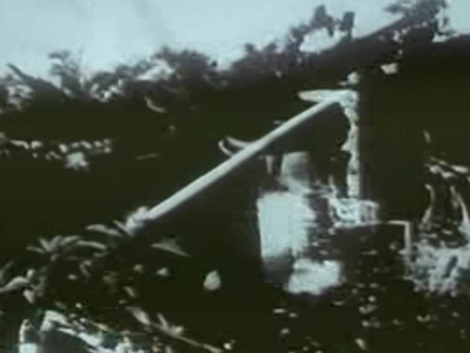 40年代海南岛解放影像资料2