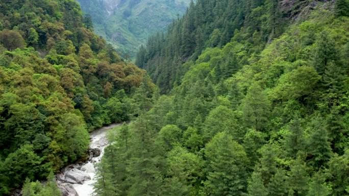 航拍峡谷山涧溪流