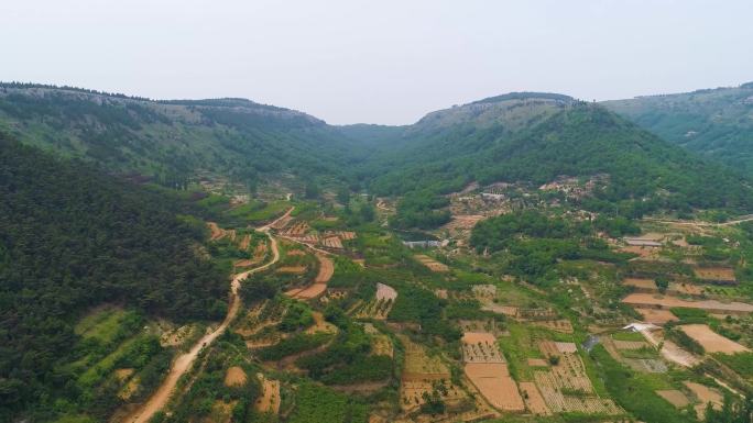 山东 枣庄 山亭 高山 航拍