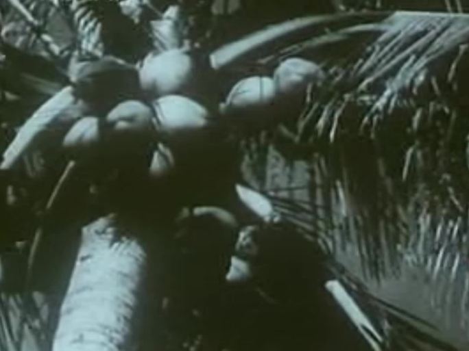 40年代海南岛解放影像资料17