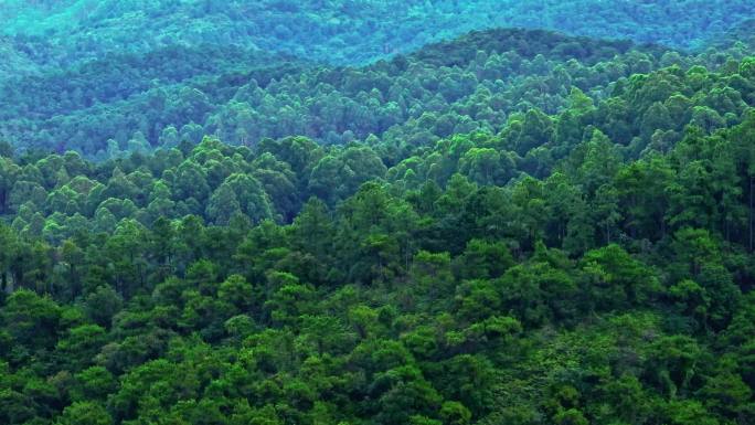 4K佛山南海西樵南海湾山峦山林森林航拍