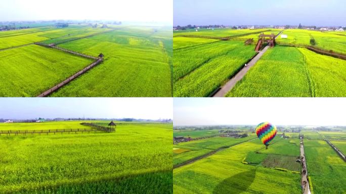 德阳油菜花田多景别空镜素材