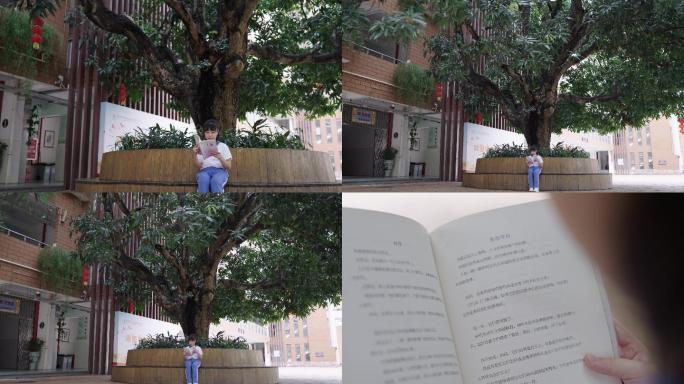 学生树下读书朗诵
