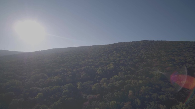 长白山 航拍 森林 高山 阳光