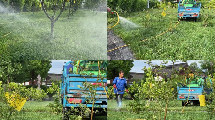 草坪果树病虫害防治喷洒农药化肥喷施