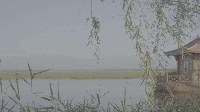 湿地 建筑 绿色 特色 西北 酒泉 六分