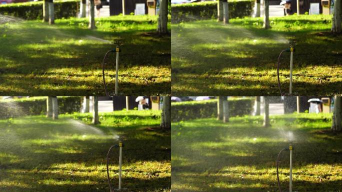 自动喷灌 浇灌 浇花 绿化