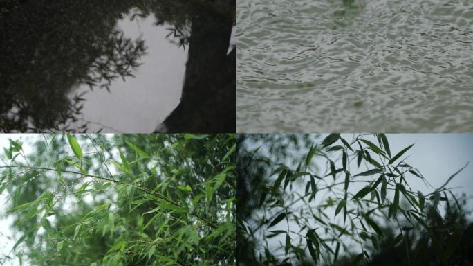 竹叶雨滴