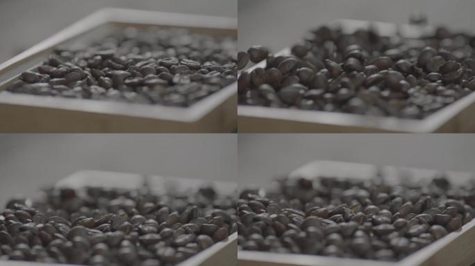 云南 小粒咖啡 咖啡豆 落下