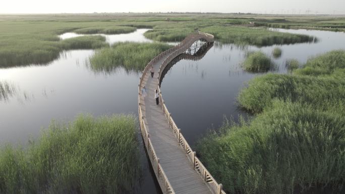 湿地航拍建筑绿色特色西北酒泉六分