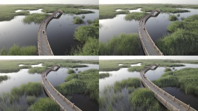 湿地航拍建筑绿色特色西北酒泉六分