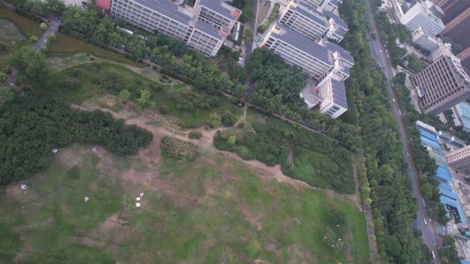 郑州大学绿化区与土木系 4K