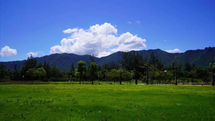 夏日晴天坝光银叶树湿地园草地树木远山延时