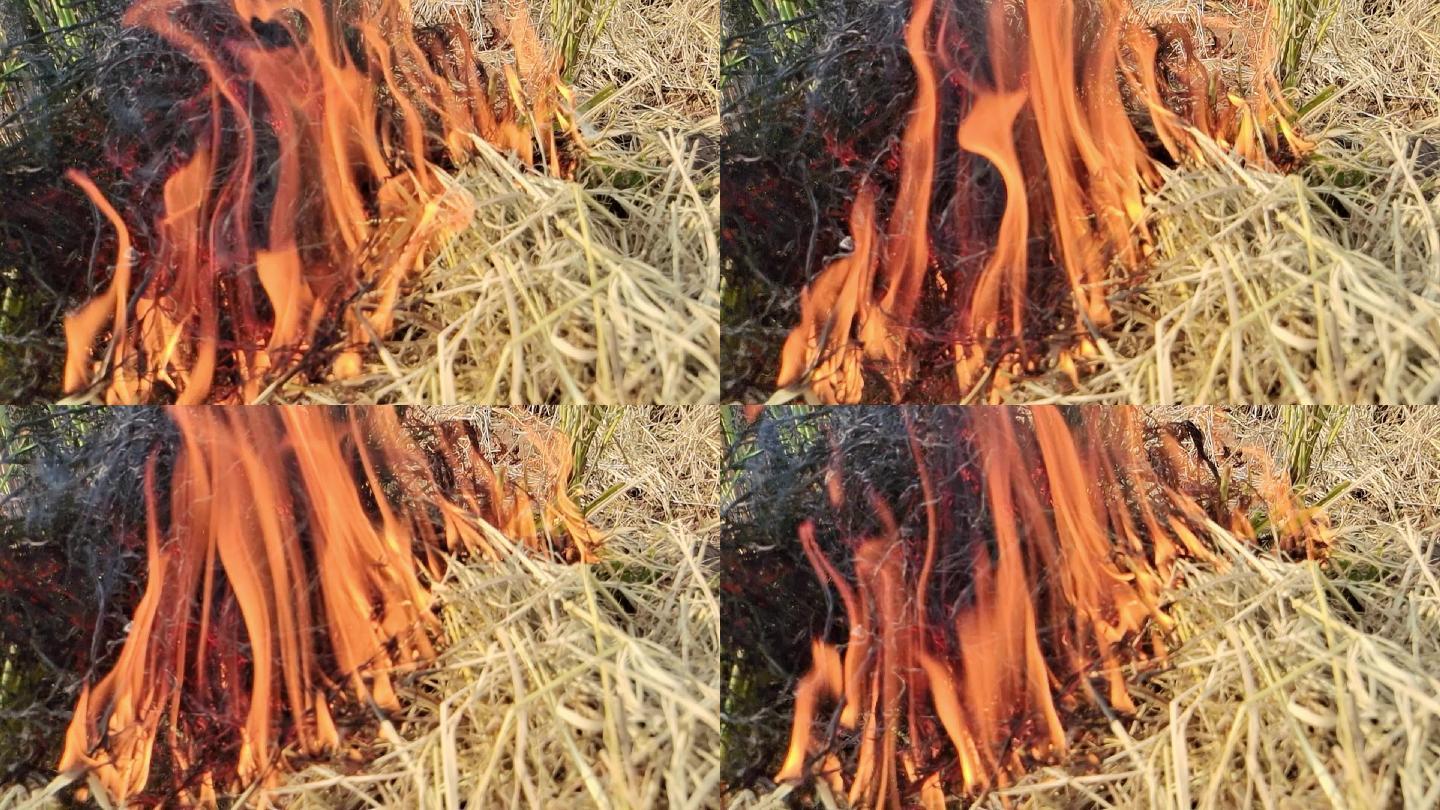 火堆火苗火苗上升田间烧禾杆烧火麦杆禾杆