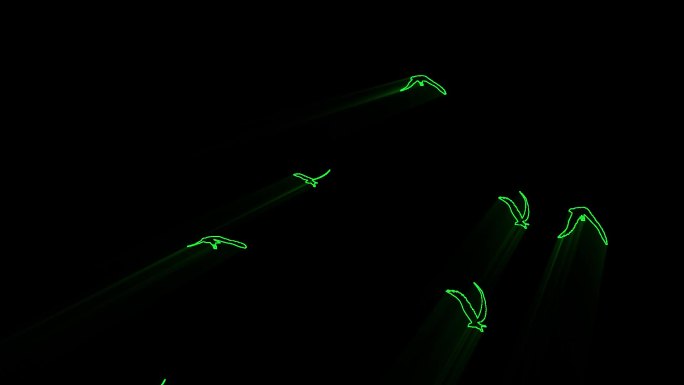 山体投影鸟-激光投影灯片