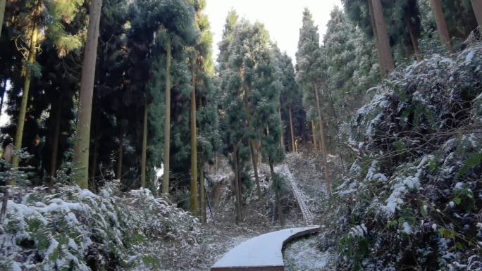 成都彭州龙门山熊猫森林公园雪景