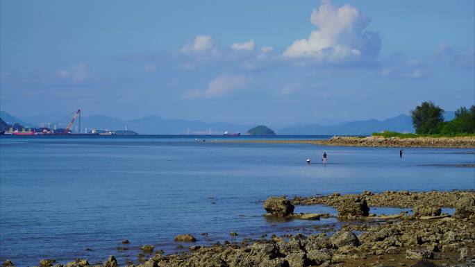 深圳坝光白沙湾海域退潮赶海人